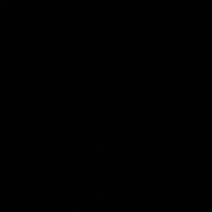 Meet your Posher, Geyrelin